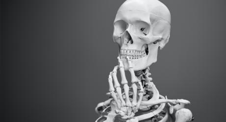 Skeleton in a thinking pose