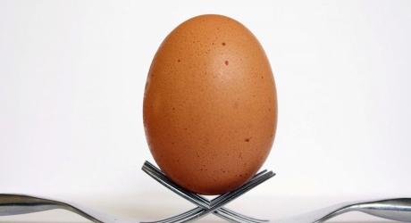 egg balancing