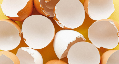 A stack of broken egg shells