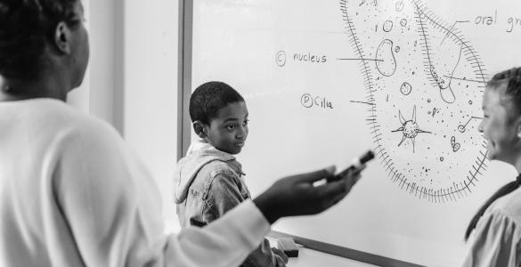 A student looking at a diagram on a whiteboard