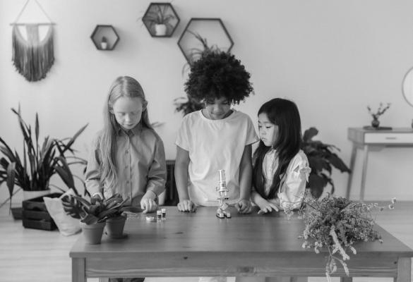 Three kids looking at plants