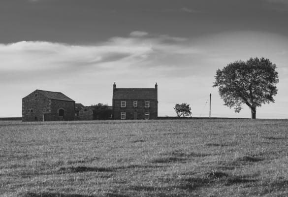 Yorkshire scene