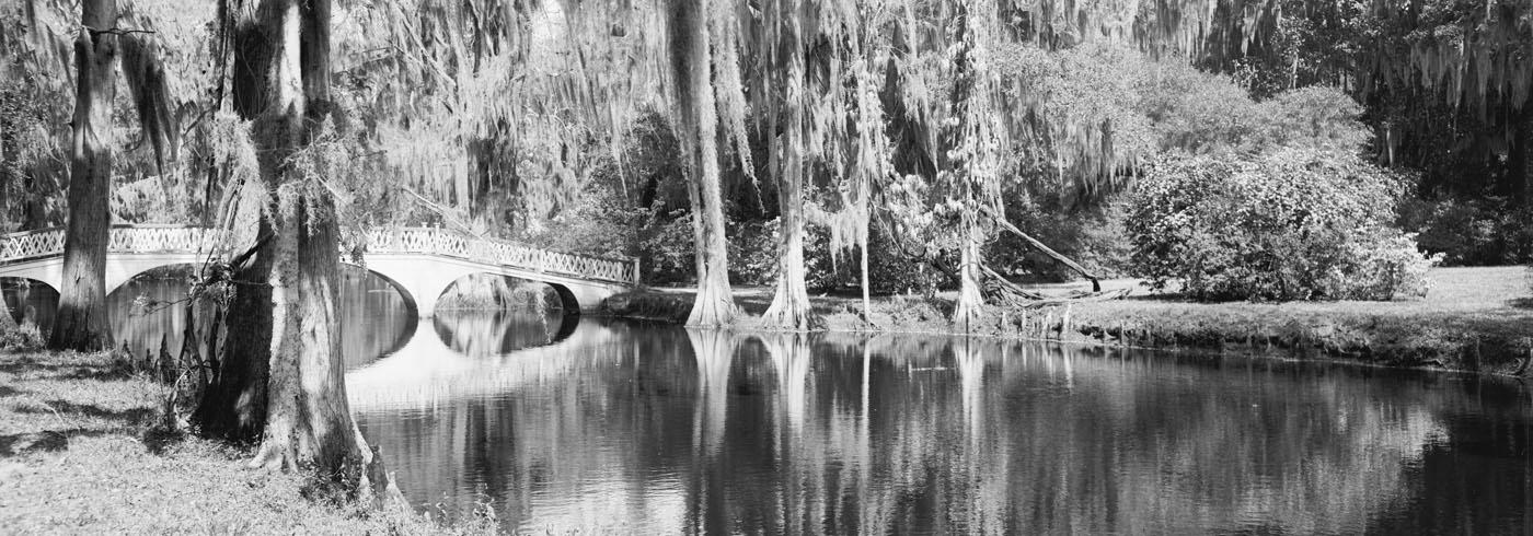 A river with a stone bridge and drooping willow trees almost touching the water and breaking the reflection in the water