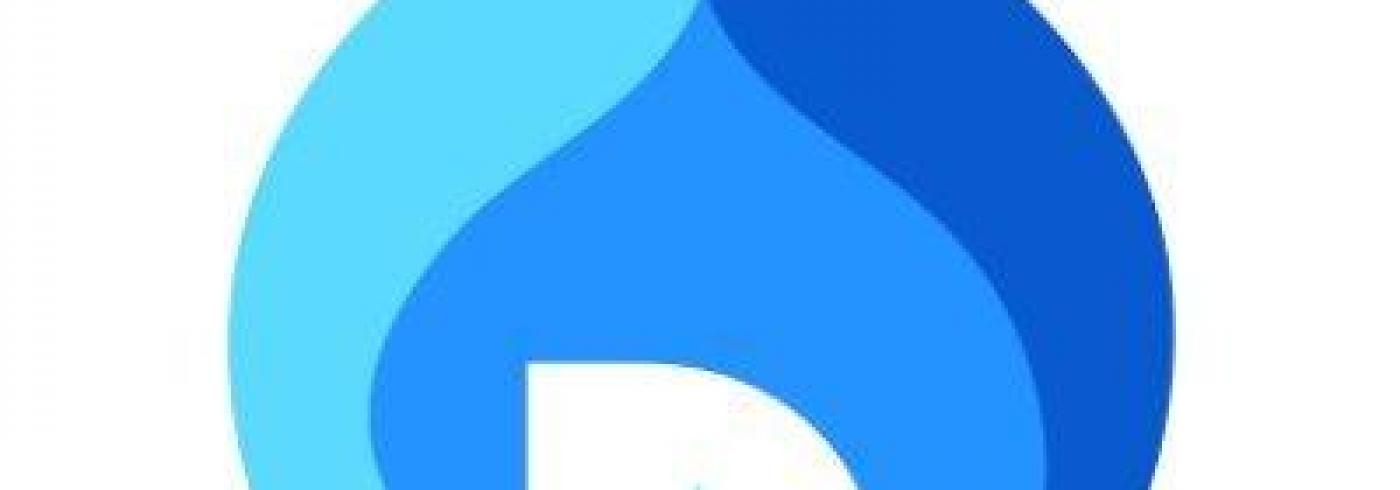 Drupal India Association logo