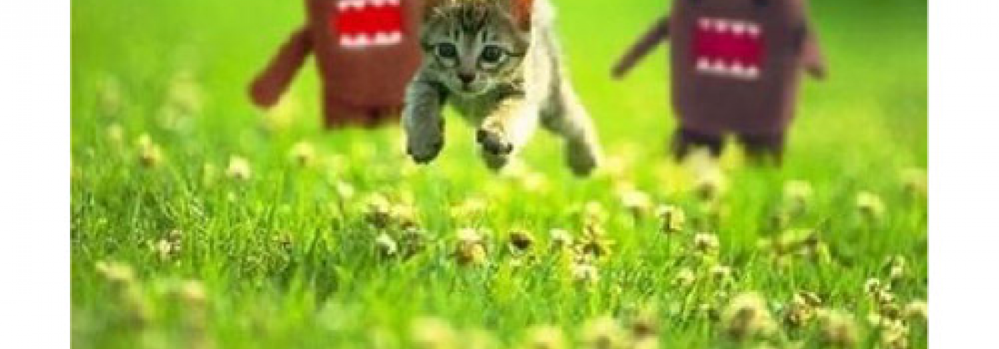 A meme of a kitten running with the wording "every time you hack core, God kills a kitten"