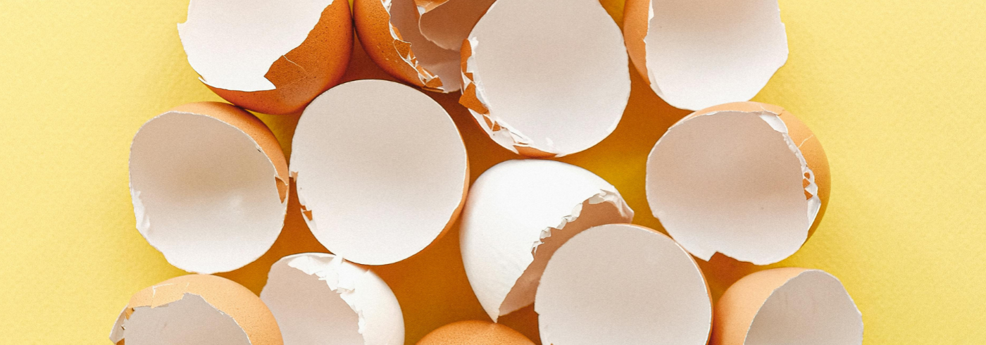 A stack of broken egg shells